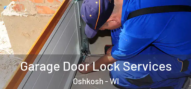 Garage Door Lock Services Oshkosh - WI