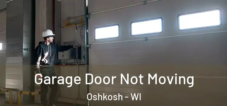  Garage Door Not Moving Oshkosh - WI