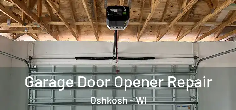  Garage Door Opener Repair Oshkosh - WI